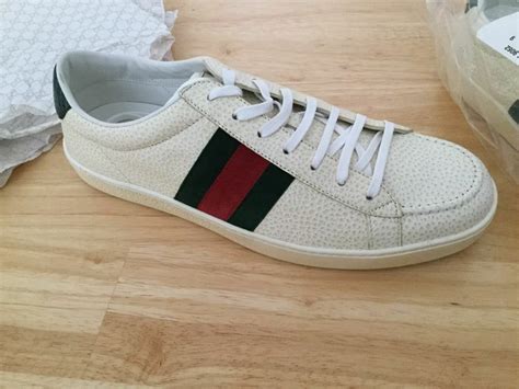 gucci sneakers australia ebay